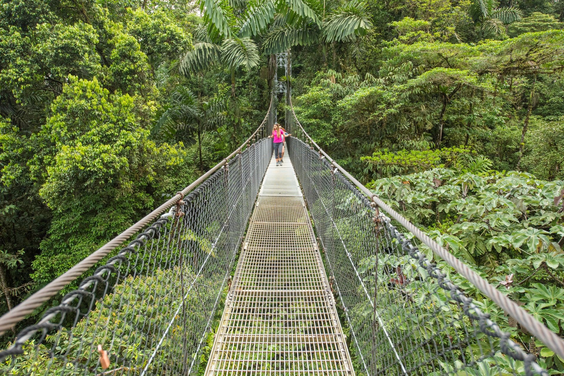 Person walking across a suspension bridge surrounded by lush green forest.