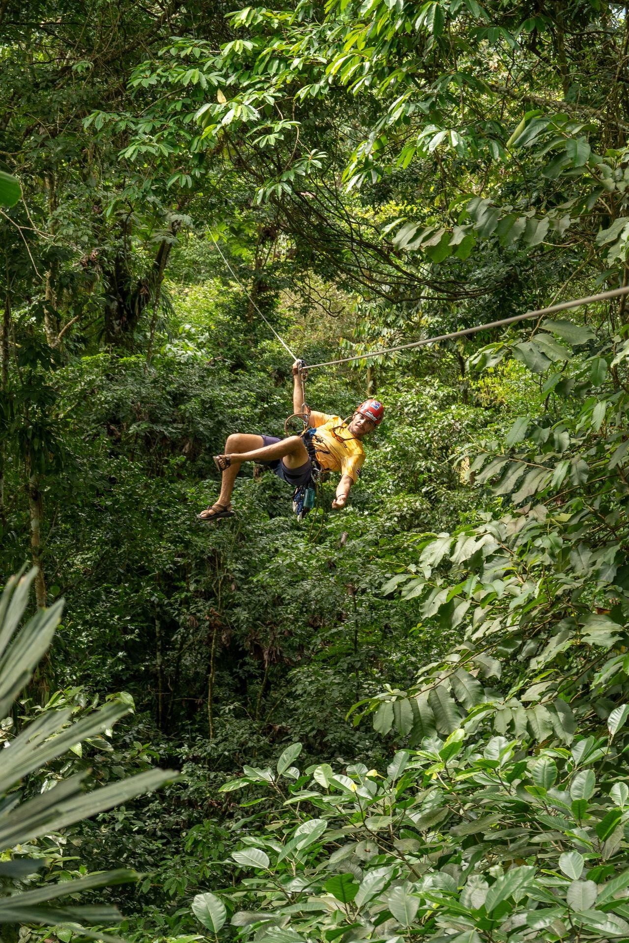 Person zip-lining through dense green forest, surrounded by lush foliage.