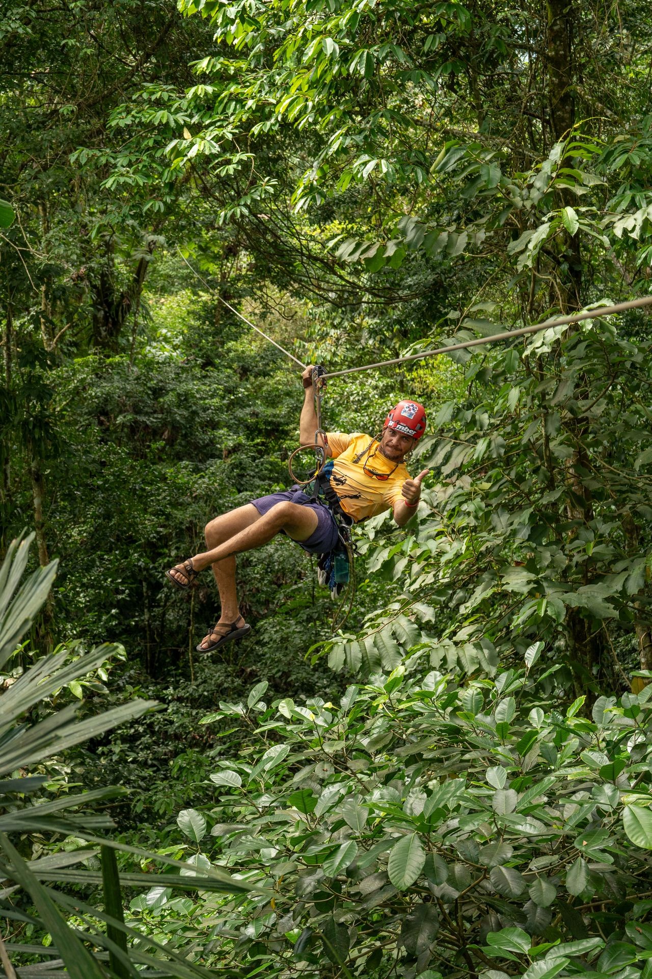 Person zip lining through lush green tropical forest, wearing a red helmet and yellow shirt.